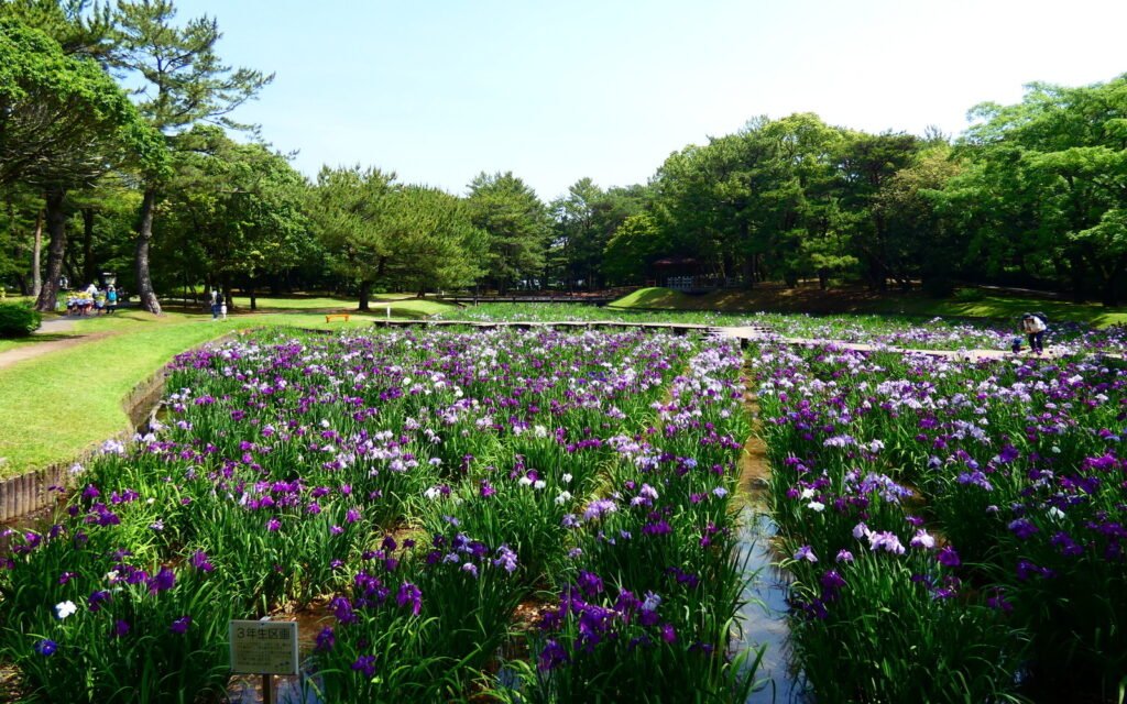 🌳 아와키가하라 삼림공원 시민의 숲 (아와키가하라신린코엔 시민노모리)